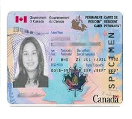 Buy Database Canada ID-Card