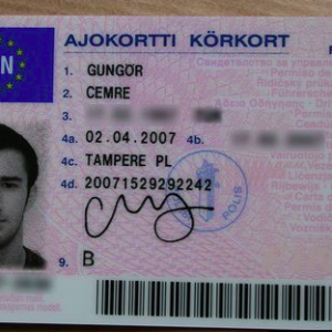 Buy Database Finland Driver's-License