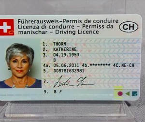 Buy Database Swiss Driver's-License